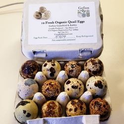 Picture of Gefion Gamebirds Organic Quail Eggs