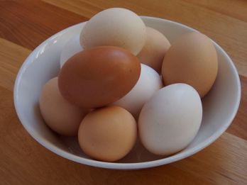 Picture of Burroughs Pastured Eggs - Medium