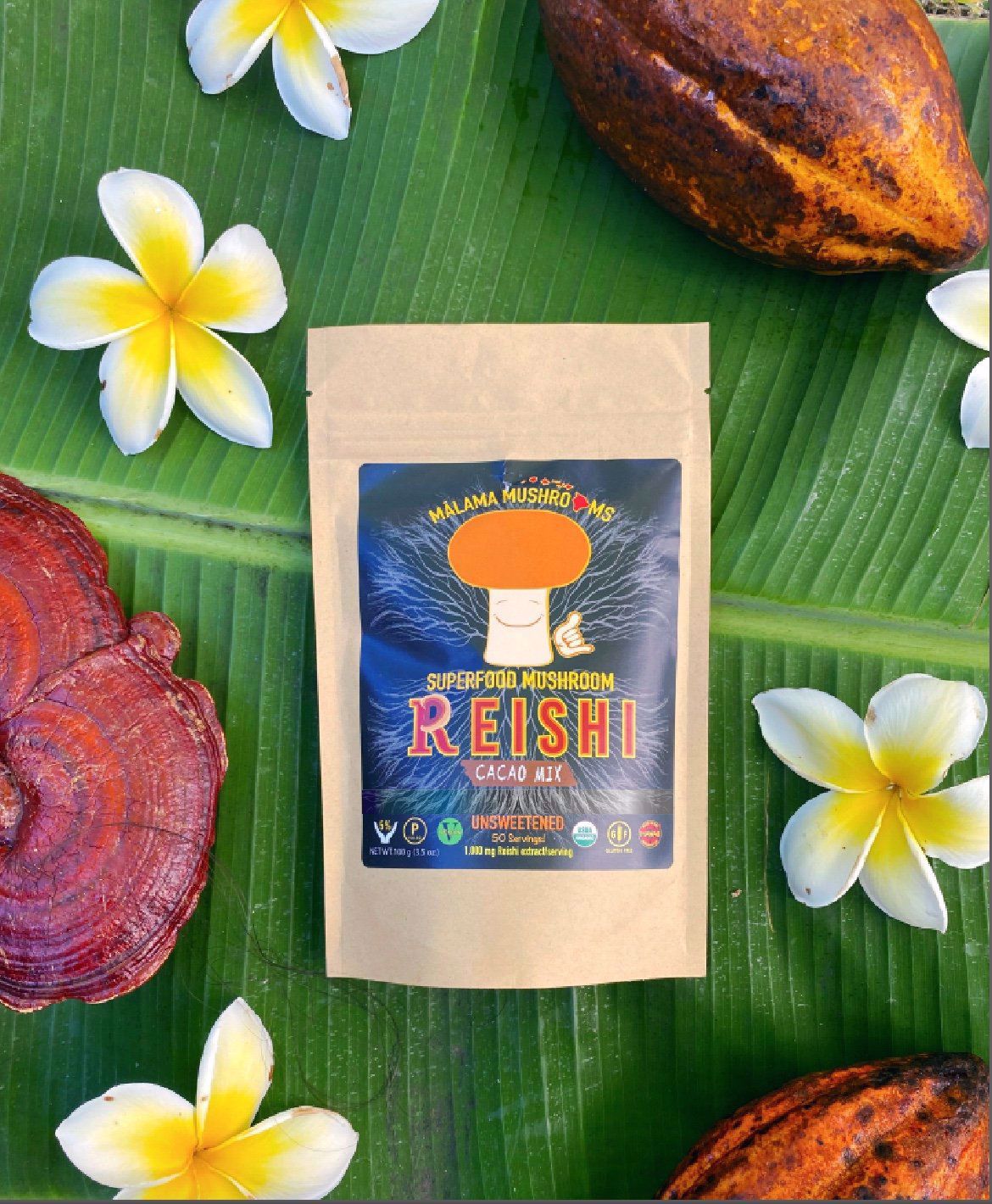 Picture of Malama Reishi hot Cacao drink mix